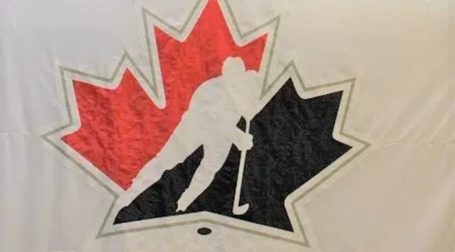 Report identifies NHL players facing sexual assault charges