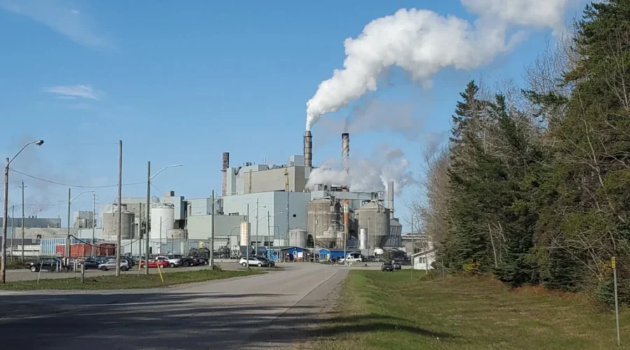 Province funds new resource centre for laid off mill workers