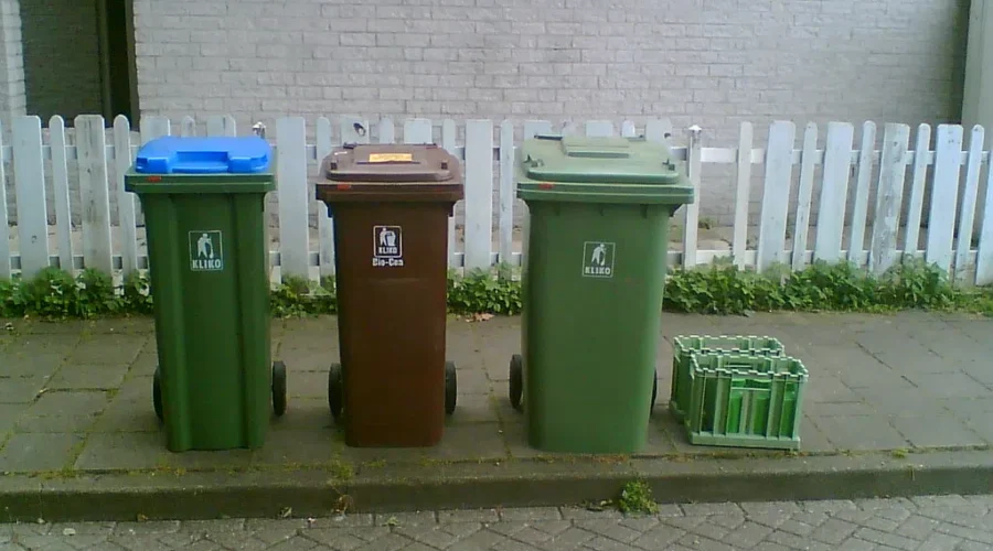 City takes step towards green bin program