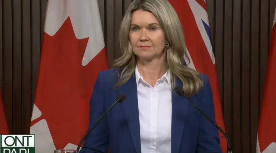 Ontario reveals $1.3B to stabilize post-secondary institutions