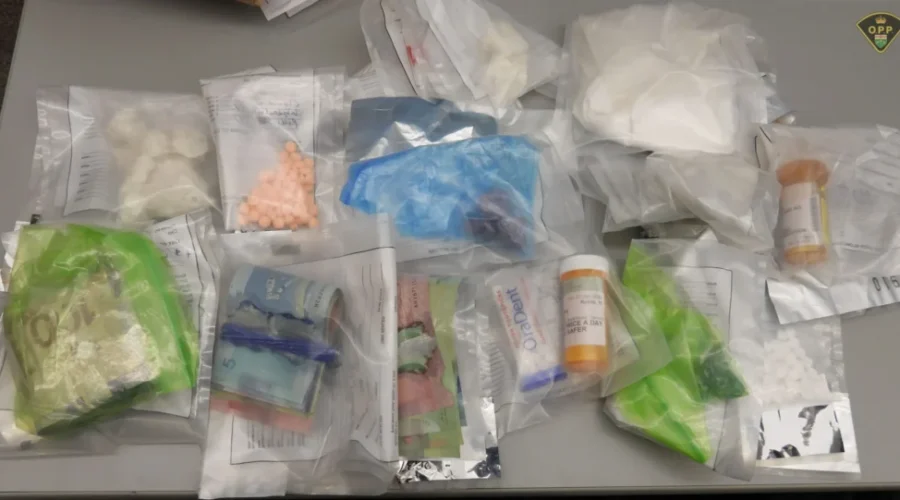 Numerous charges laid following drug bust
