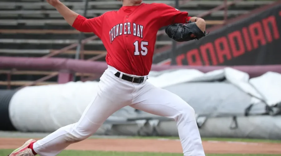 Border Cats sign players for 2024 season
