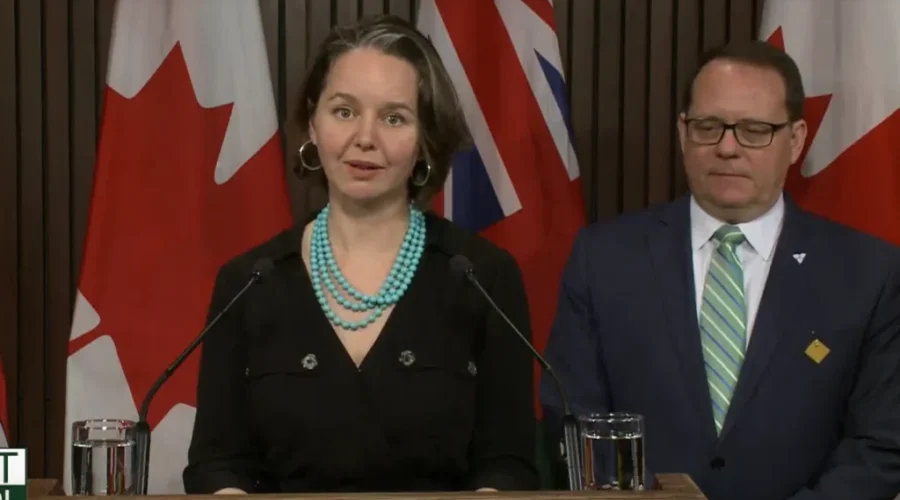 Green Party offers budget suggestions