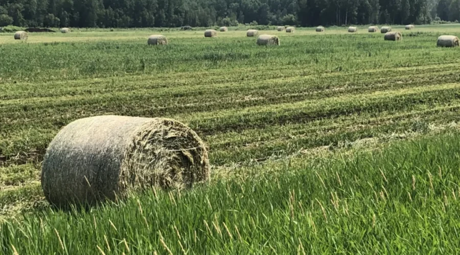 Northern Ontario farmland increases value