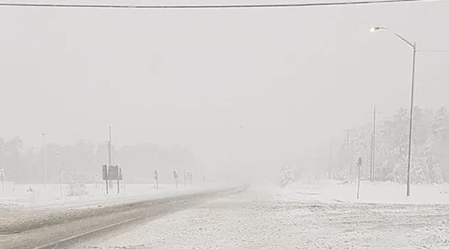 Recent storm benefits fire season