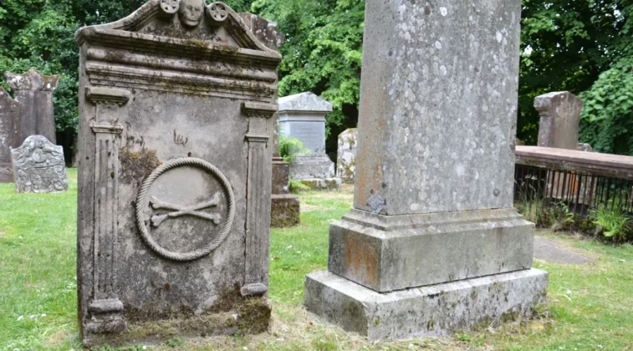 Pet burials in local cemeteries being considered by city council