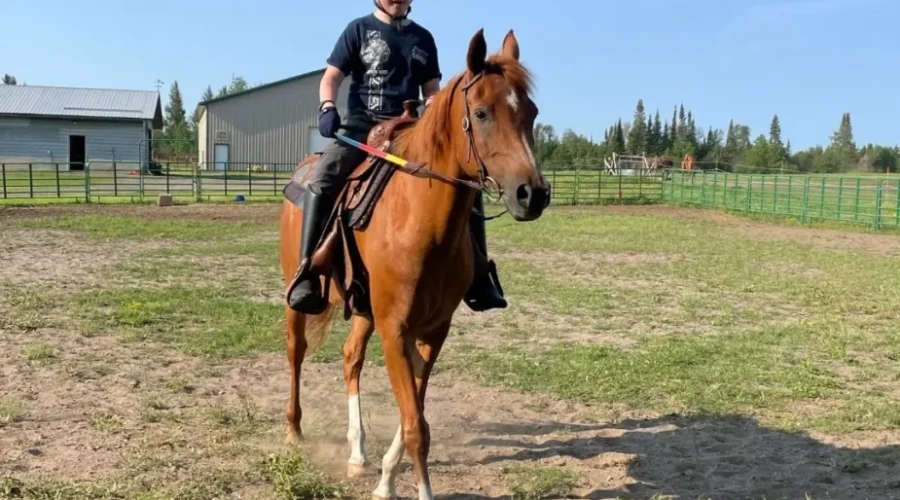 Thunder Bay ranch offers emotional support with horses