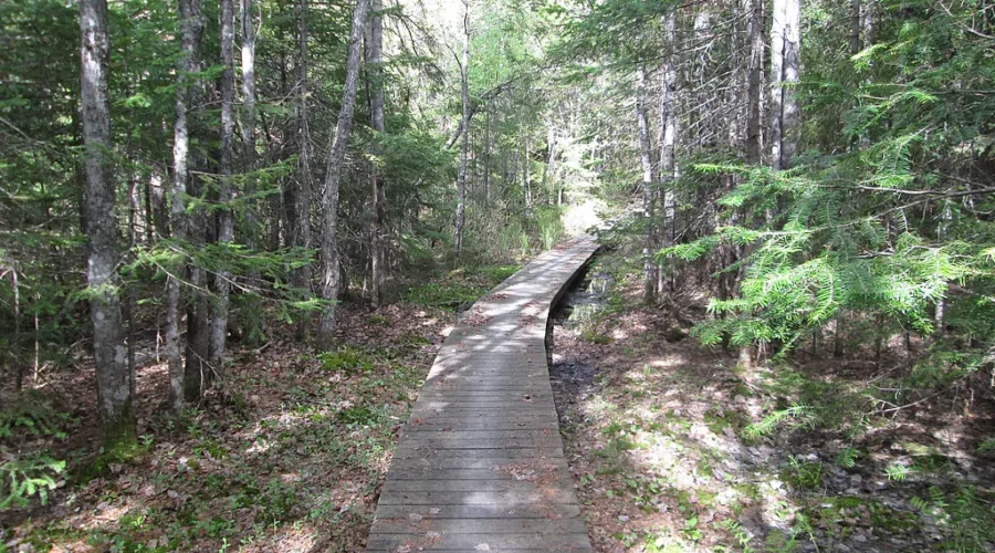 Expansion of Trans Canada Trails near Thunder Bay