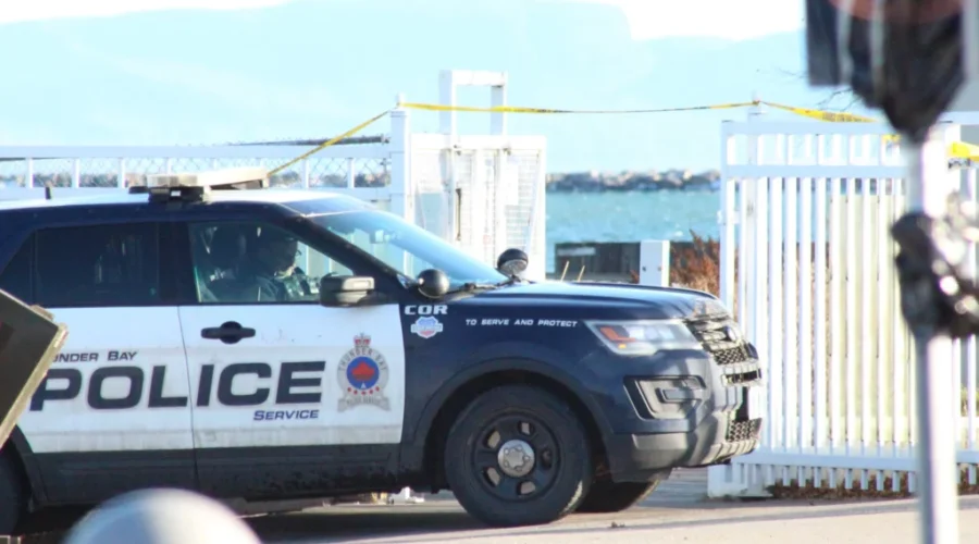 Thunder Bay police facing high number of assaults