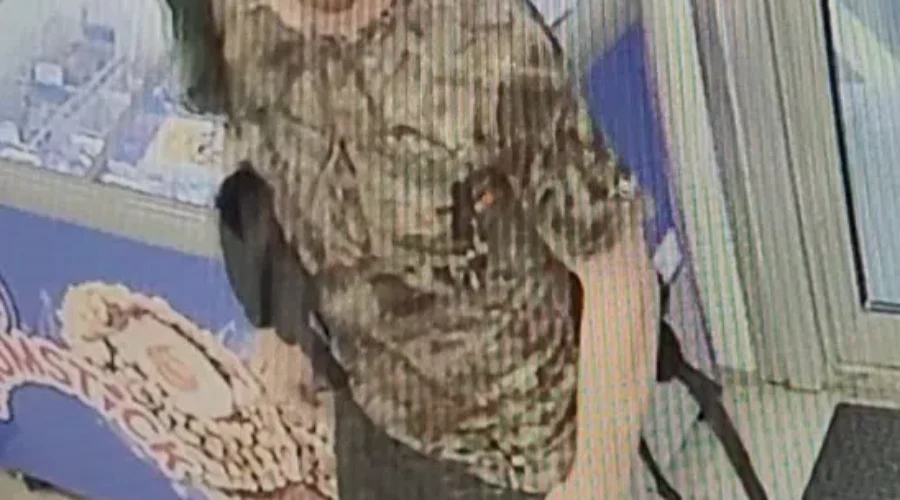 OPP seeking missing person in Thunder Bay