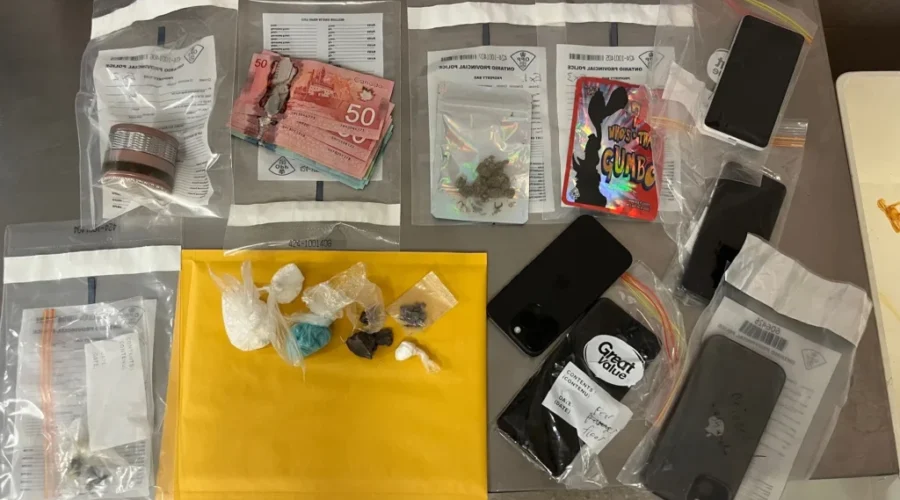 Routine traffic stop turns into drug bust in Shuniah
