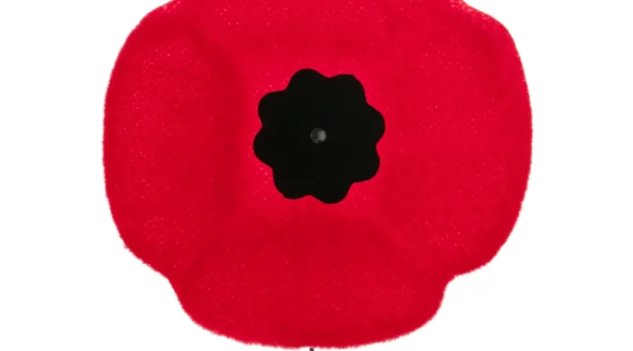 The POPPY CAMPAIGN is underway!