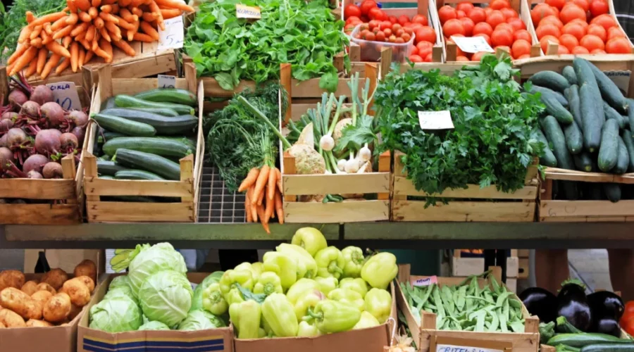 Monthly food cost reaching $1,800 in Far North