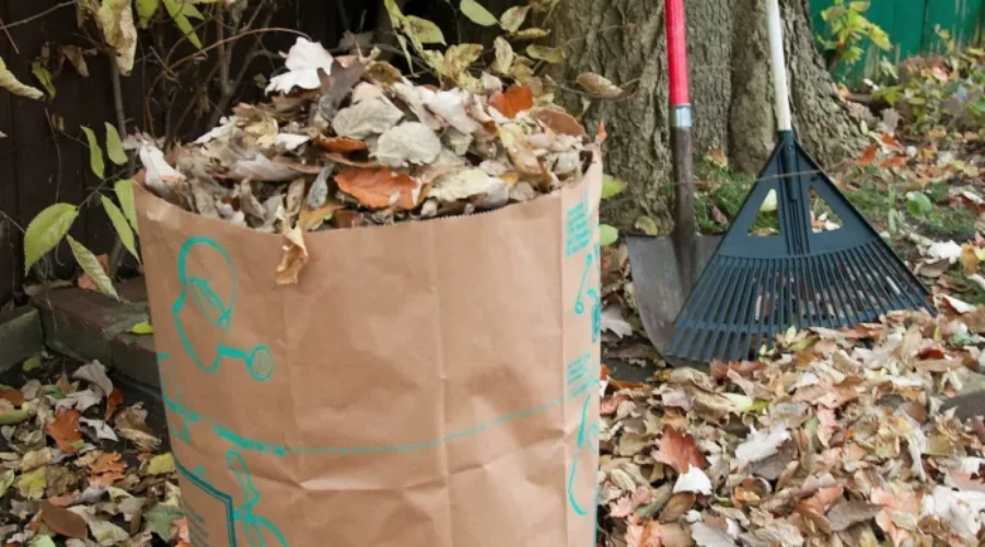 Leaf and yard waste curbside collections set to continue