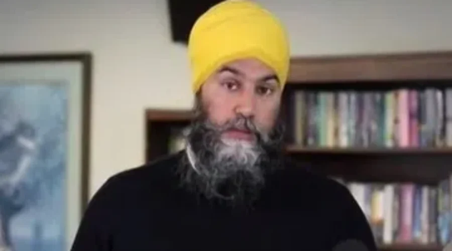 Federal NDP urging Trudeau to support new Toronto transit trains being build in Thunder Bay