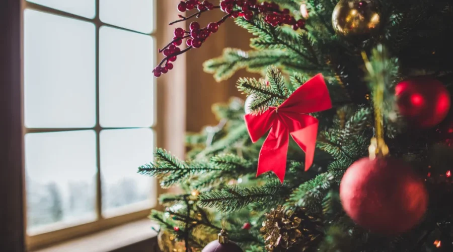 Still time to compost your Christmas tree