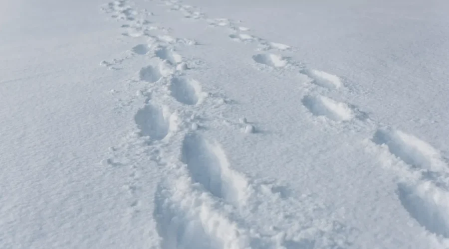 UPDATED: Snowfall warning ends in Thunder Bay, continues elsewhere
