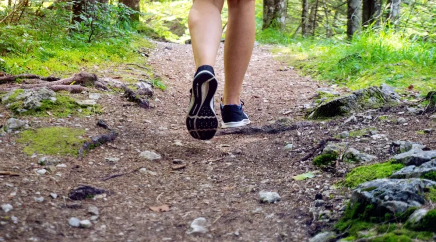 1.1 kilometres being added to Kakabeka Falls Trail