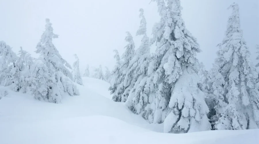 Danny and SNOW don’t mix well together. He needs help!