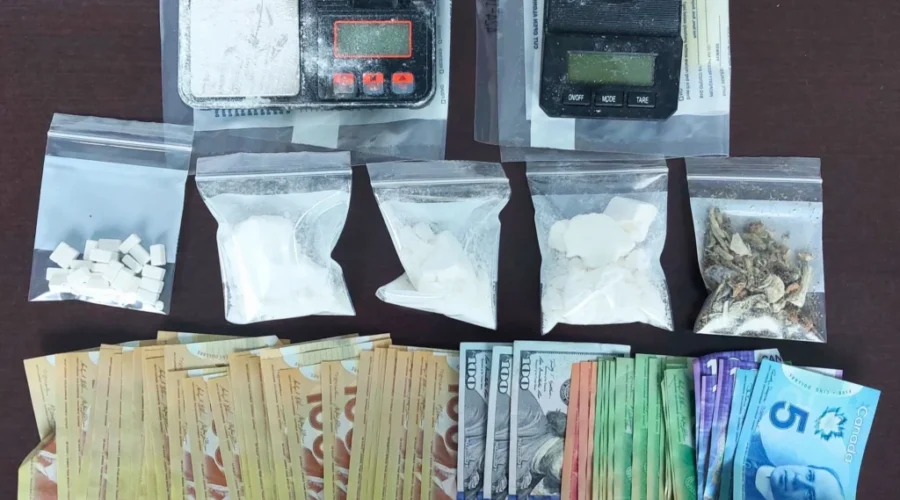 Two drug busts in Nipigon area lead to charges
