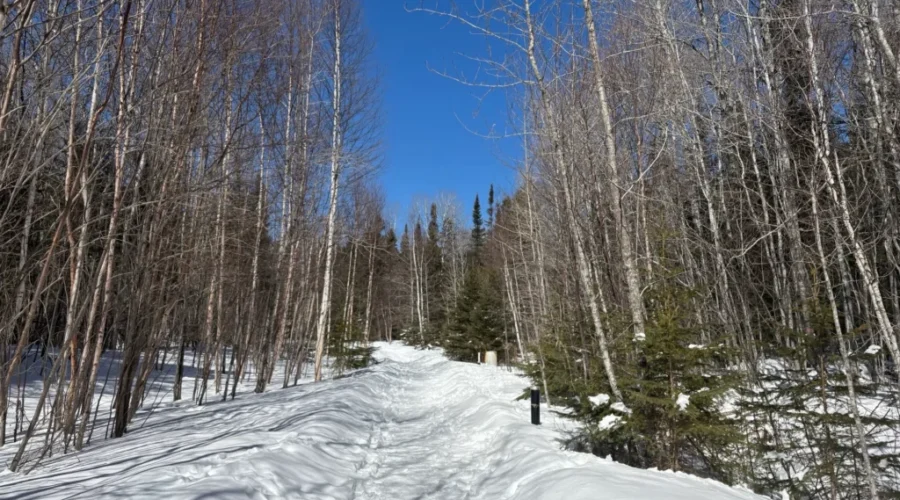 Gravel trail near Boulevard Lake closing temporarily