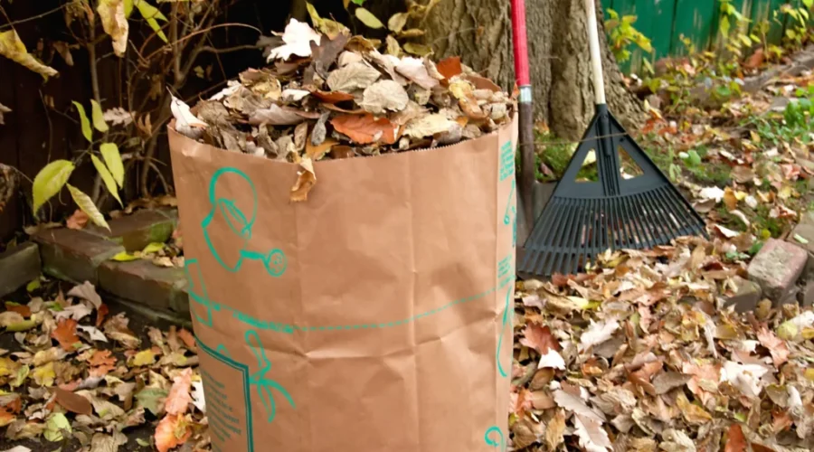 Fall leaf and yard waste curbside collections returns