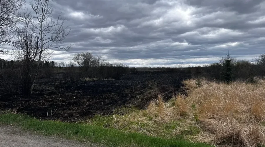 Update: No buildings damaged in brush fires south of Thunder Bay Airport