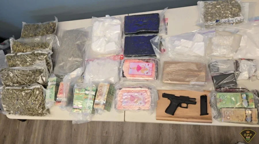 Thunder Bay: Roughly $836,000 of illegal drugs, 1 gun seized during drug trafficking investigation