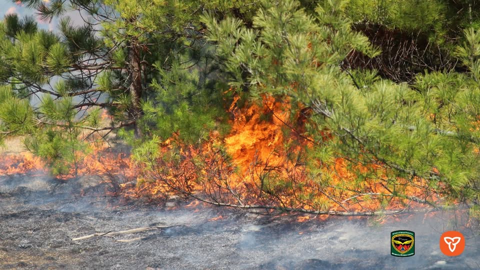 Wildfire burning through a forested area in northwestern Ontario. Photo from May 8, 2025.