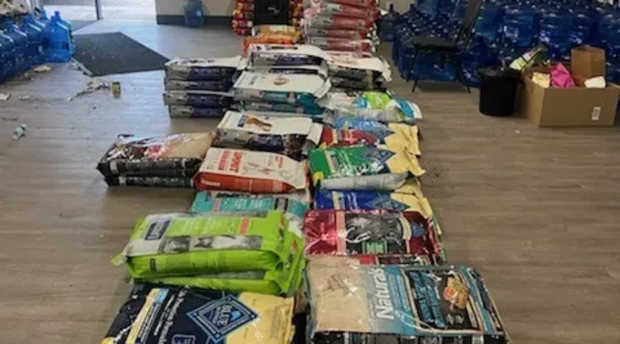 OSPCA called into help during wildfire evacuations