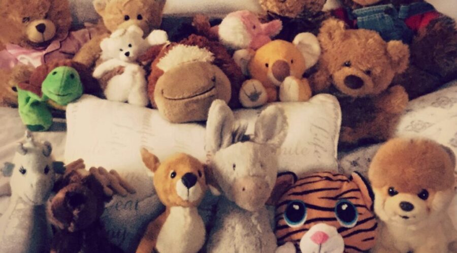 Teddy Bears Picnic moving to Fort William Gardens