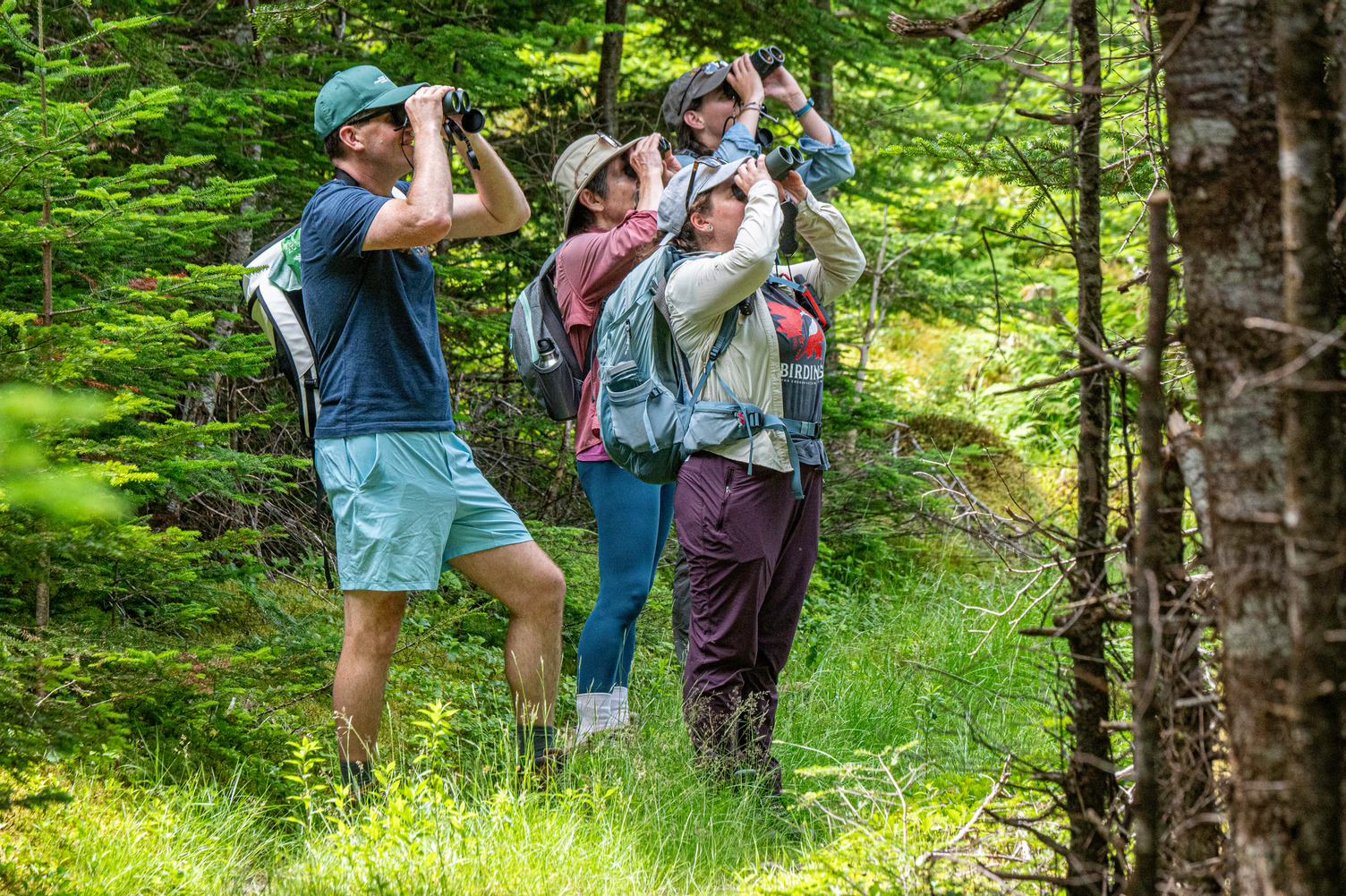 Participants out in the wildlife in the 2023 NCC Backyard BioBlitz.