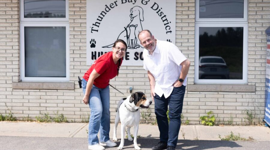 Thunder Bay Hospital Foundation August 50/50 to feature adoptable pets