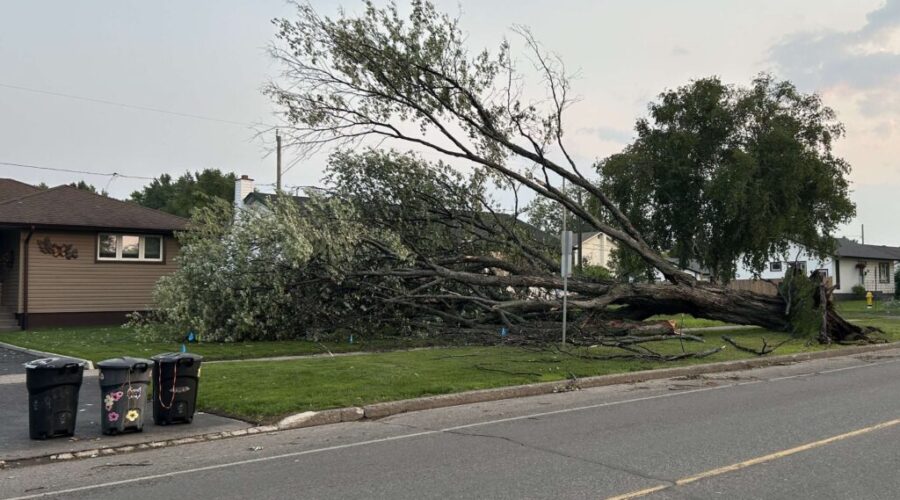 Severe weather causes damage in Thunder Bay