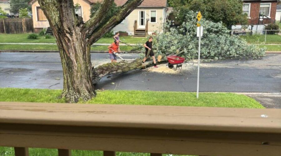 Canada Day Windstorm in the Bay: The Aftermath