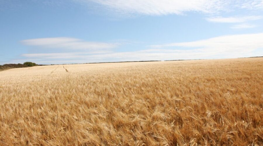Province selects new chair for Ontario Farm Products Marketing Commission
