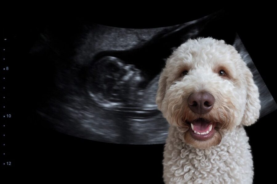 Turns out we’re expecting