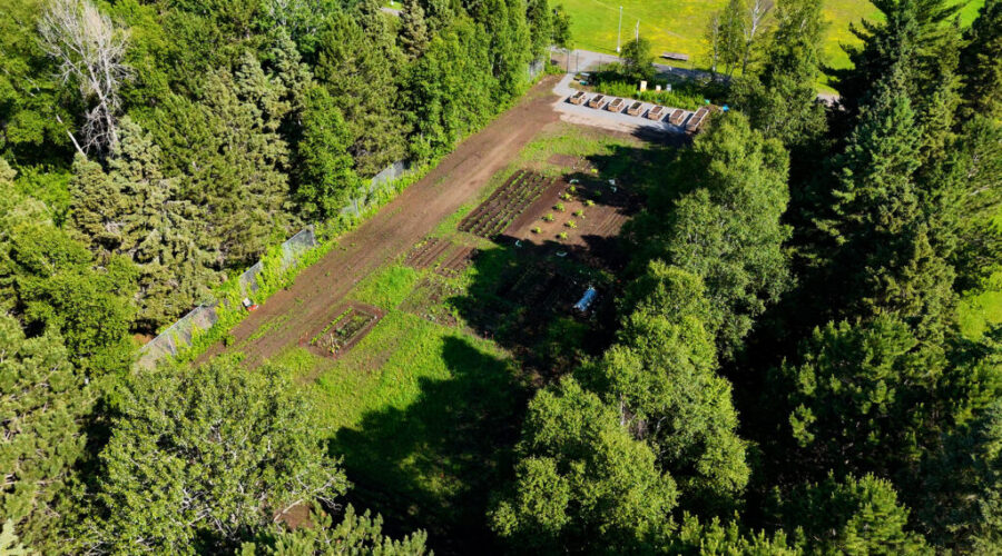 Community garden reopens at Confederation College