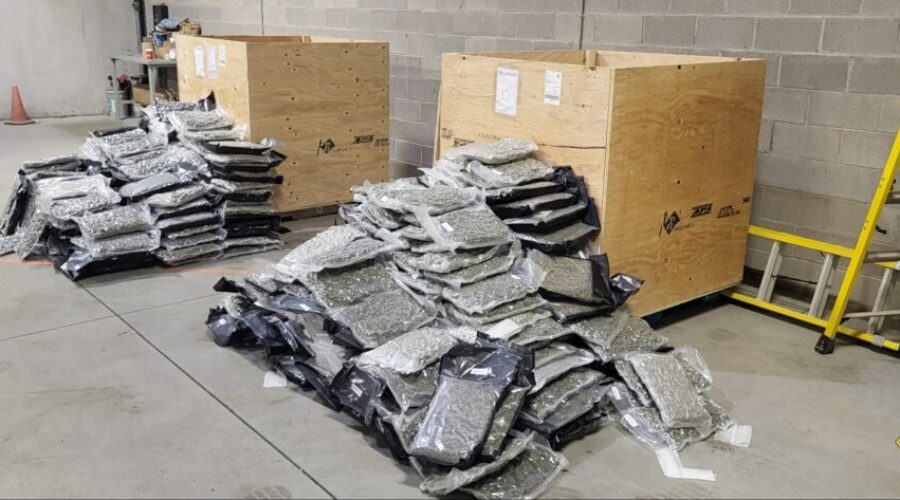 OPP interrupt illegal cannabis distribution network