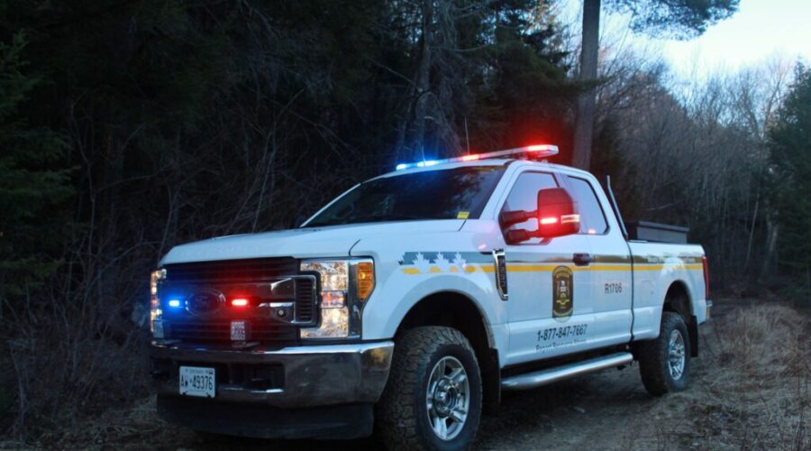 2 Thunder Bay hunters face license suspension, fines for shooting moose from road