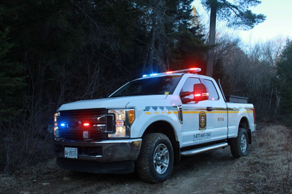Two Ministry of Natural Resource investigations lead to multiple fines in Thunder Bay area