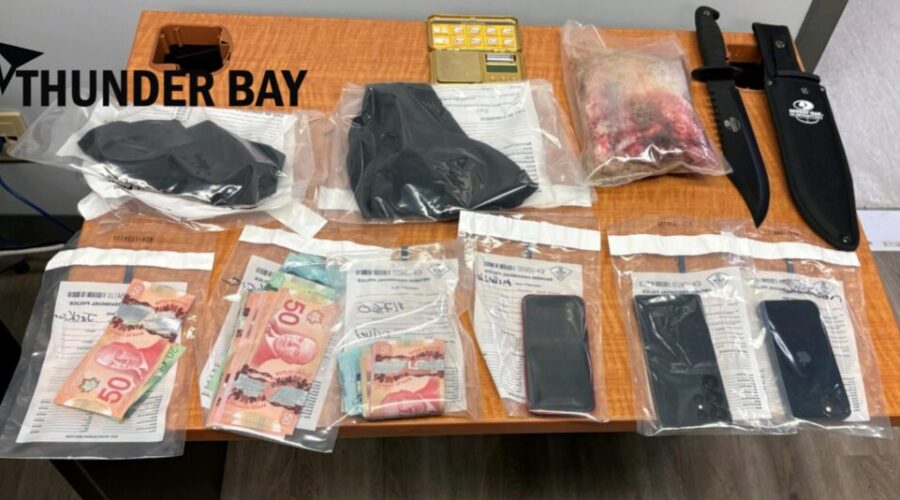 Traffic stop leads to drug charges in Shuniah