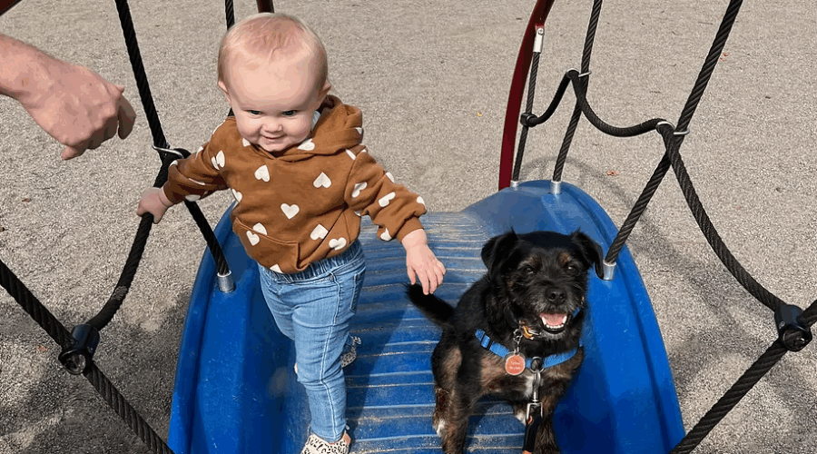 The Dog Classroom: Dogs & children – growing up together