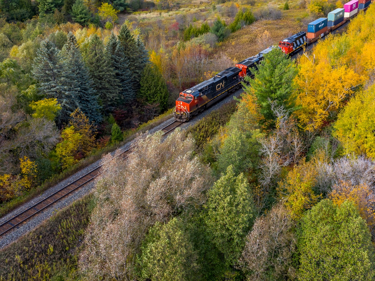 a train traveling through a lush green forest