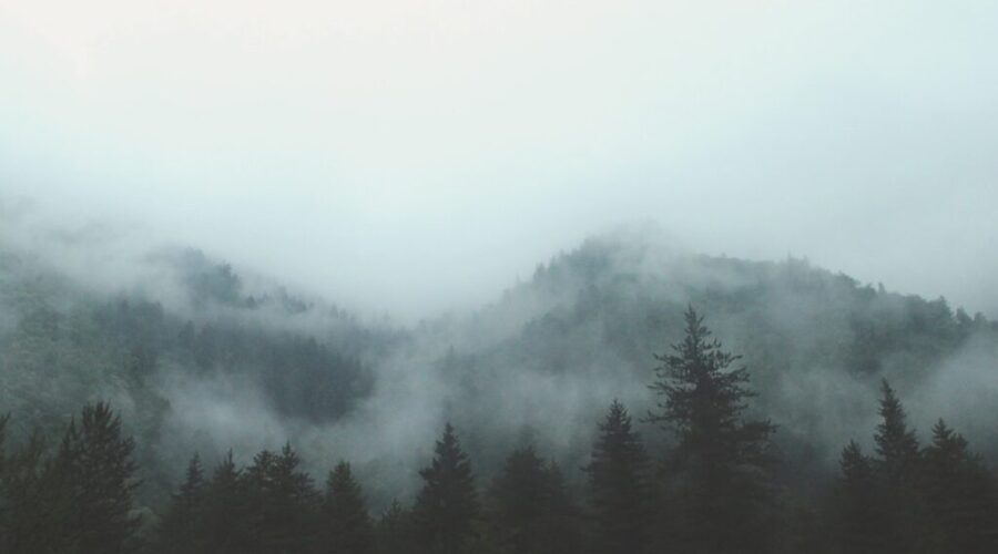 Heavy fog expected in Nipigon area