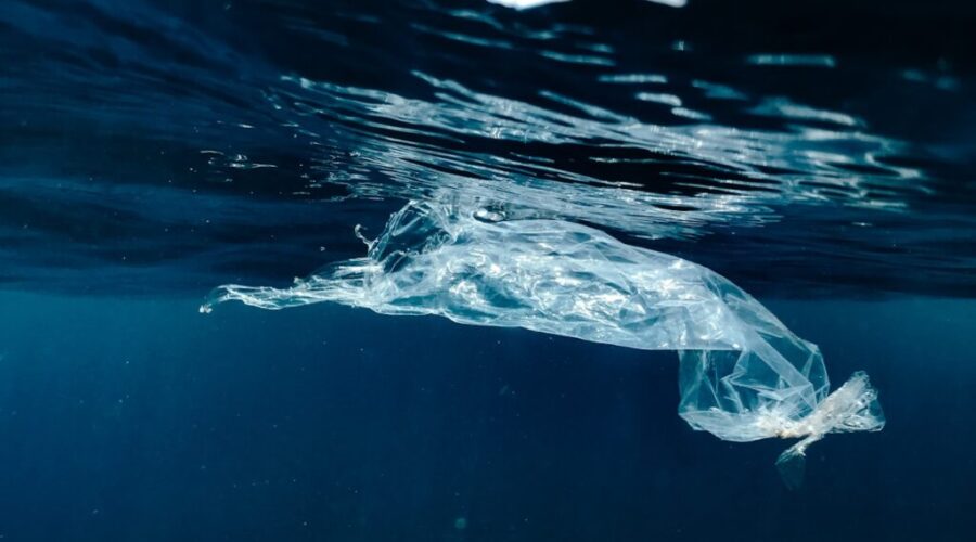 Great Lakes Coastal Cleanup happening Sunday at Fisherman’s Park