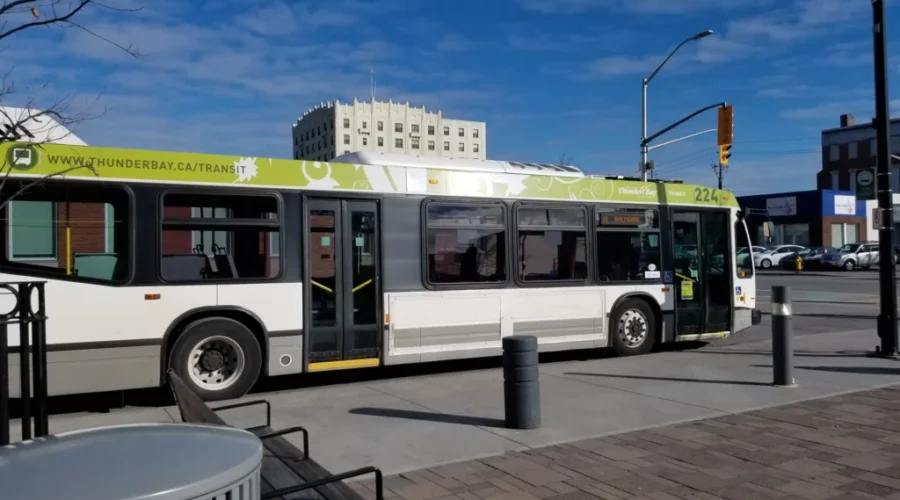 Thunder Bay working to solve bus driver staffing shortage