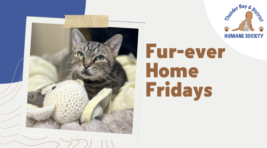 Fur-ever home Fridays: Zippy