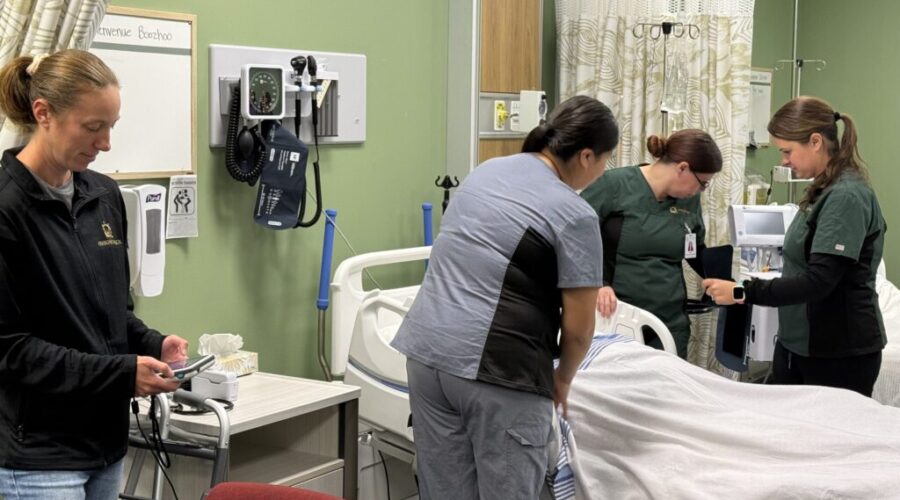 Thunder Bay visit by Registered Nurses’ Association of Ontario produced new ideas, says CEO