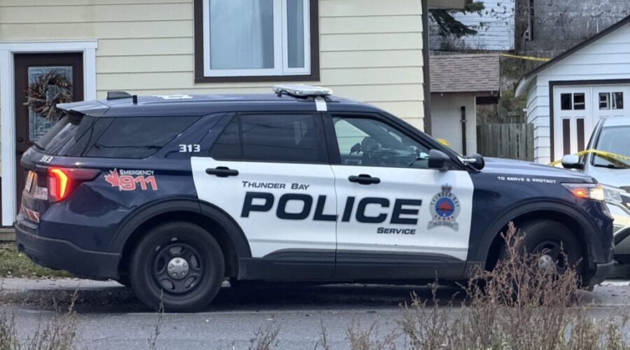 Update: Vehicle located in College Street homicide investigation